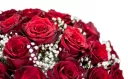 Bouquet of red roses